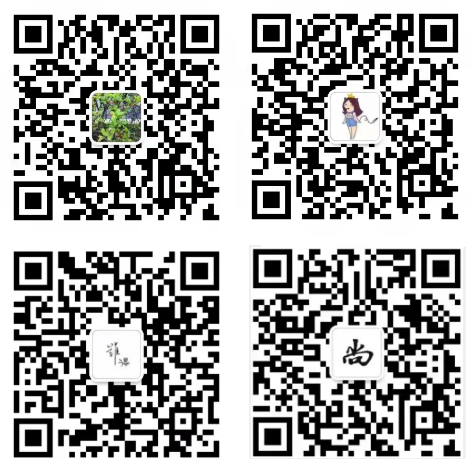 1647675958167449.png image.png